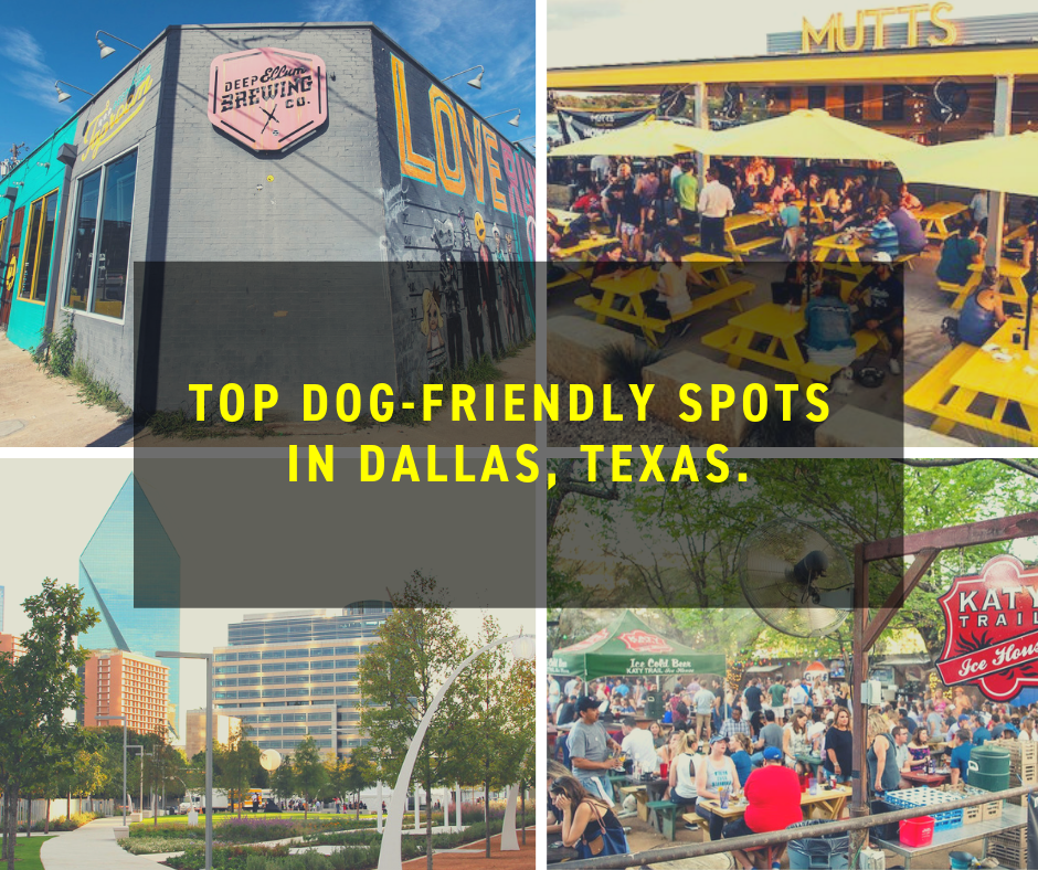 DogFriendly Dallas, Texas