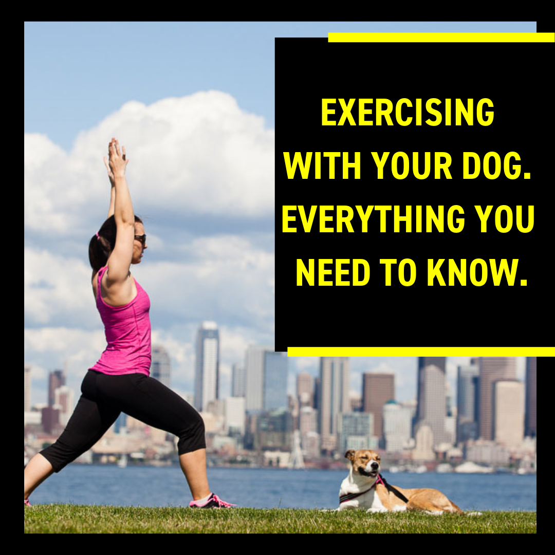 Exercising with Your Dog
