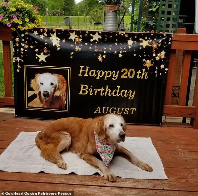 Happy 20th Birthday to August The Golden!