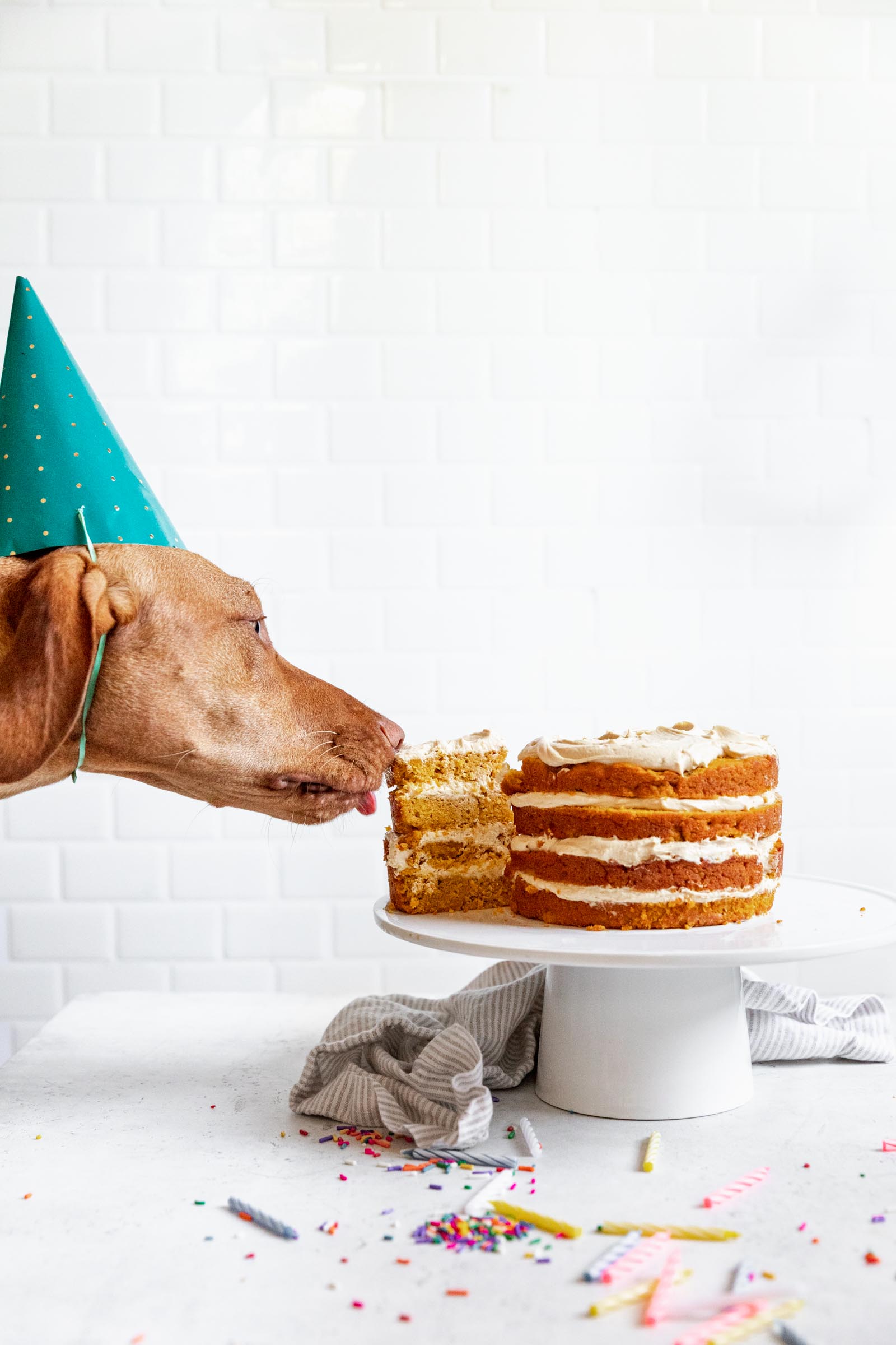 Celebrate Your Dog With These 3 Cake Recipes