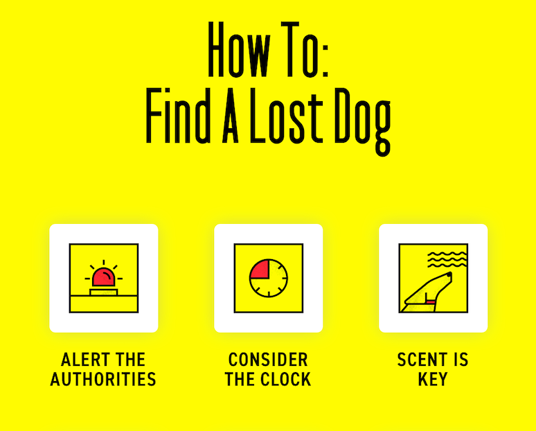 how-to-find-a-lost-dog-with-pictures-wikihow