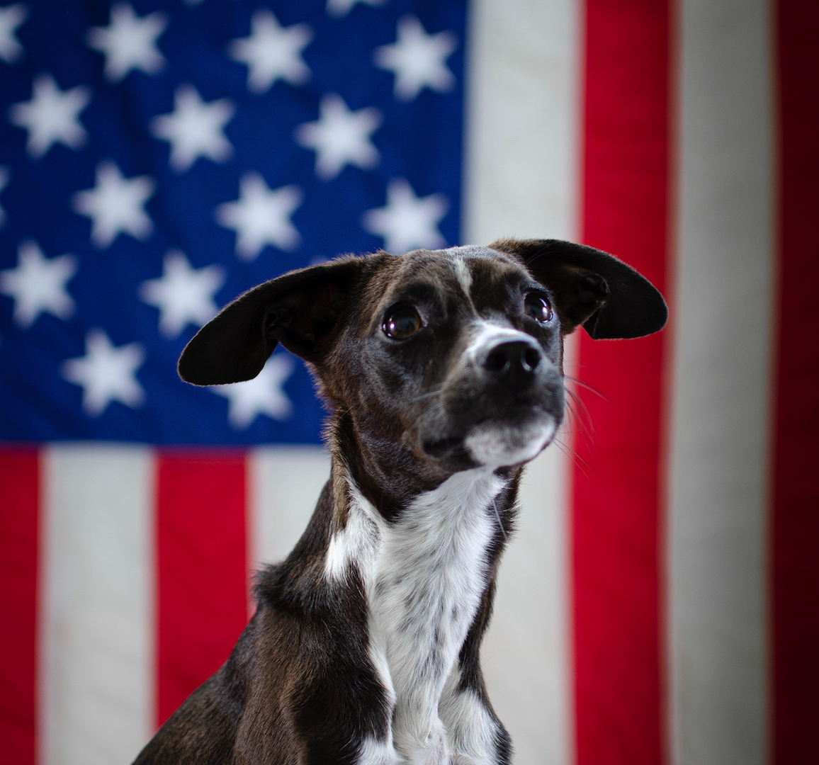 What Your Dog Says About Your Political Affiliation