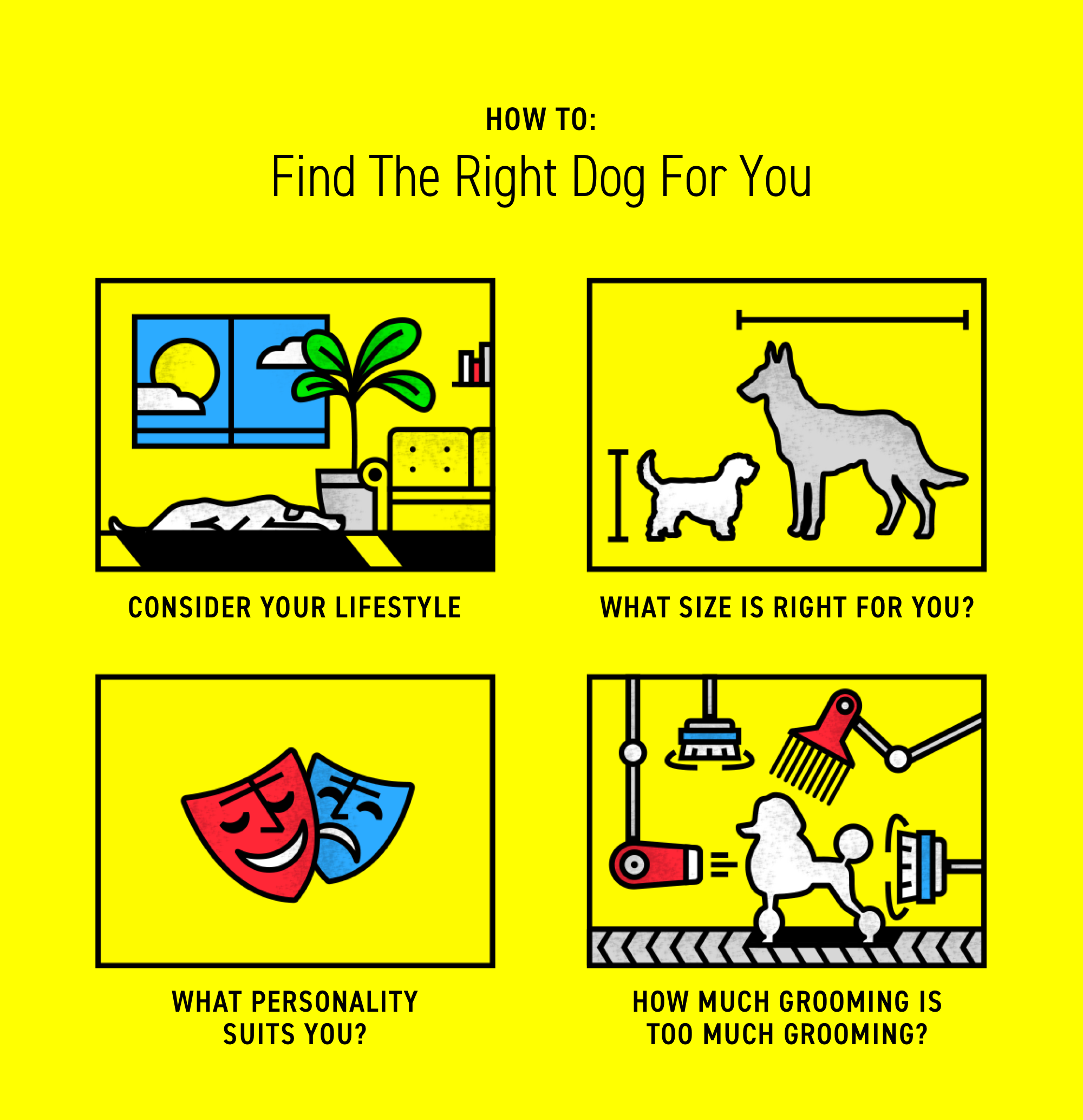 How to Pick the Right Dog for You: Ask Dr. Jeff