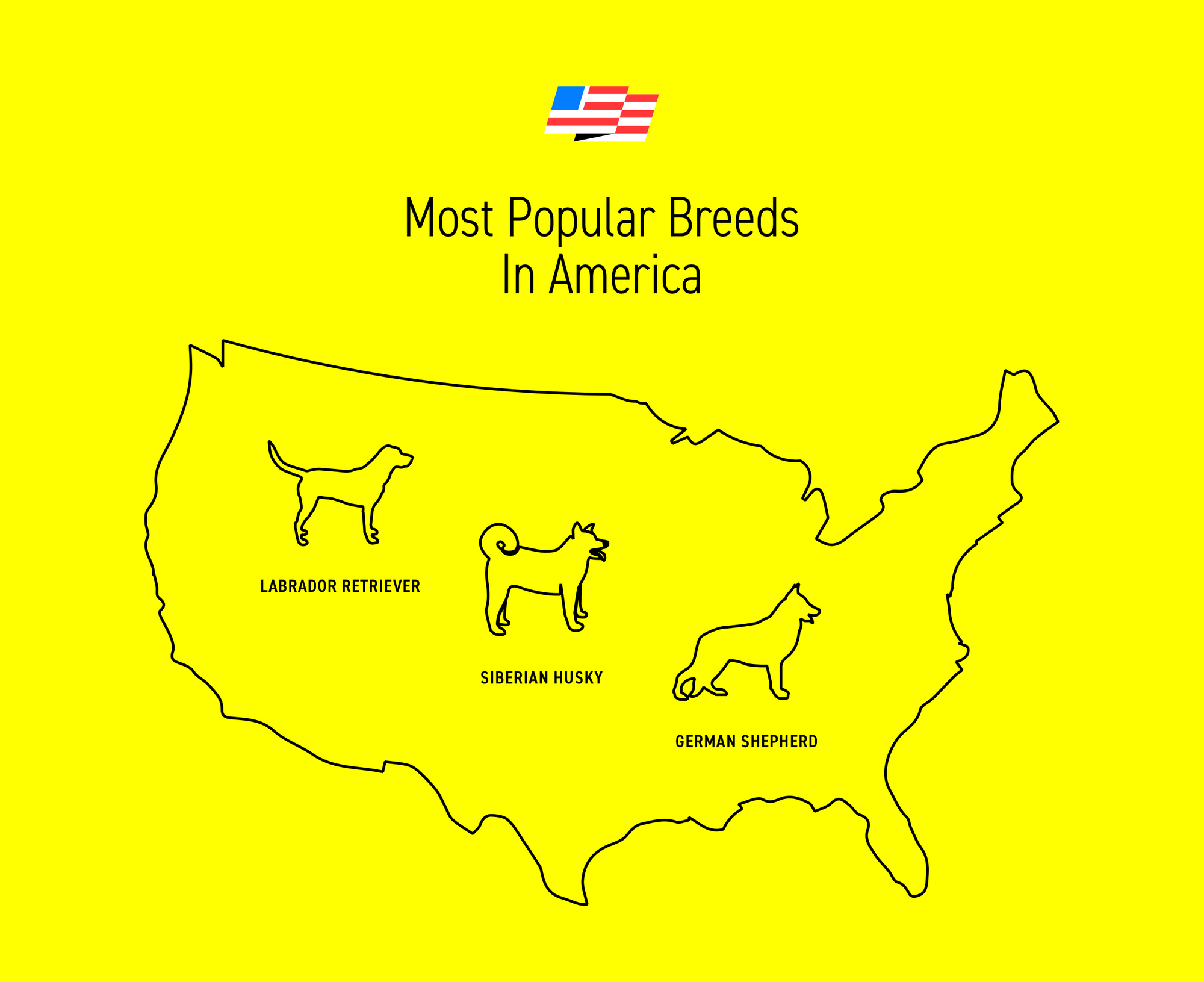 What You Might Not Know About The 3 Most Popular Dog Breeds In America