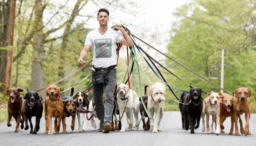 Gifts For Dog Walkers