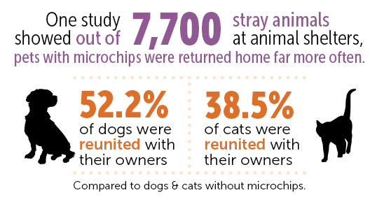 how much is microchipping your dog