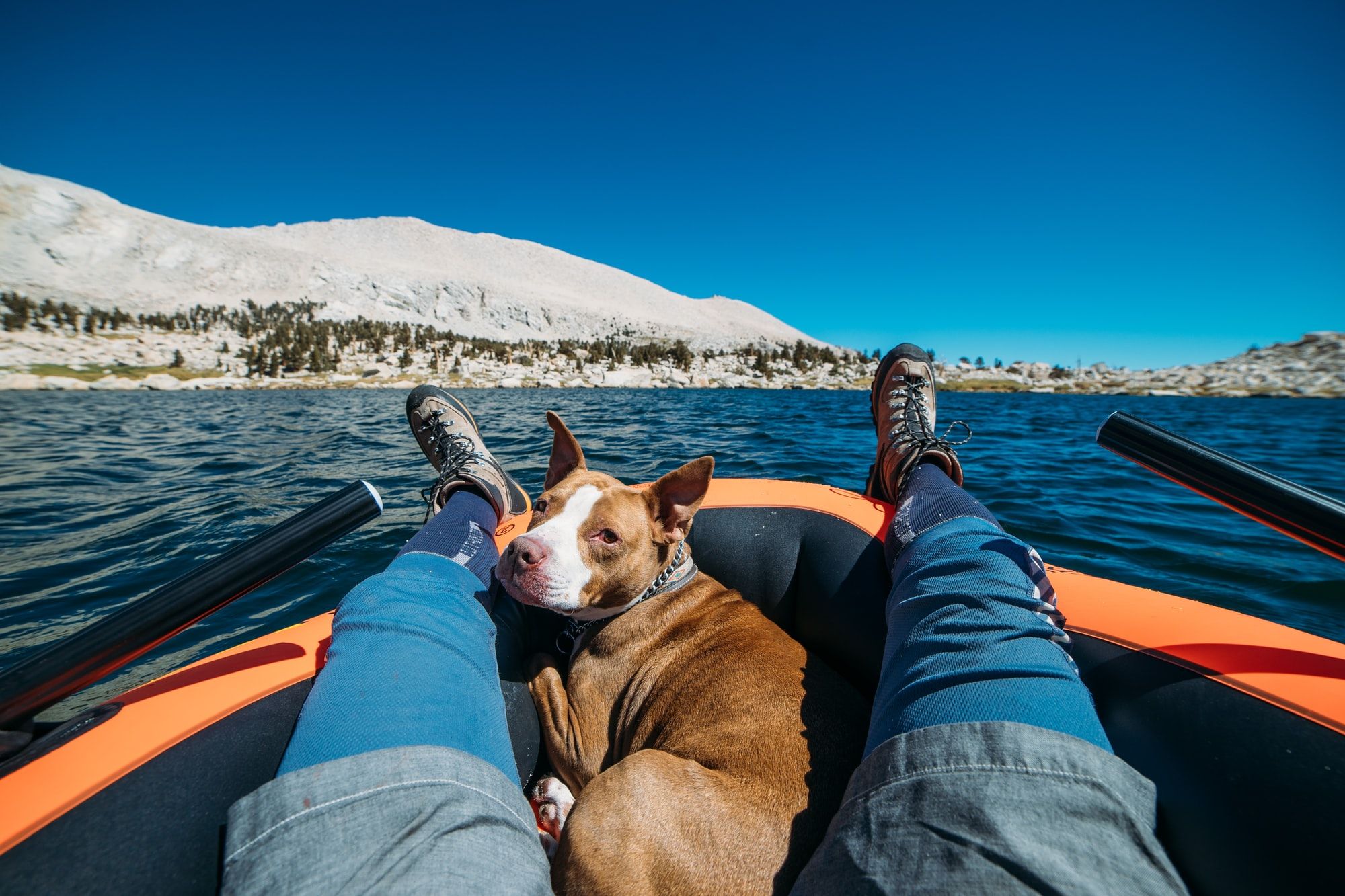 Kayaks For Dogs