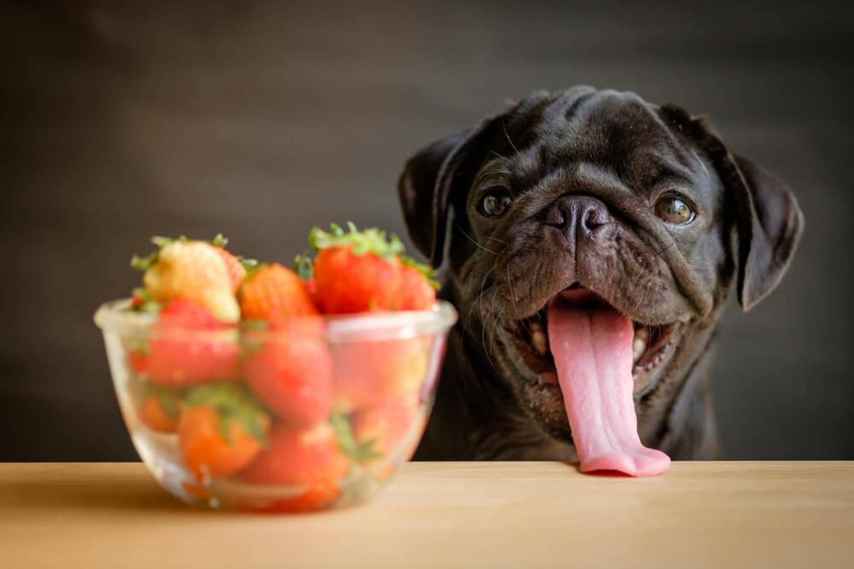 Strawberry Dog Treat Recipes