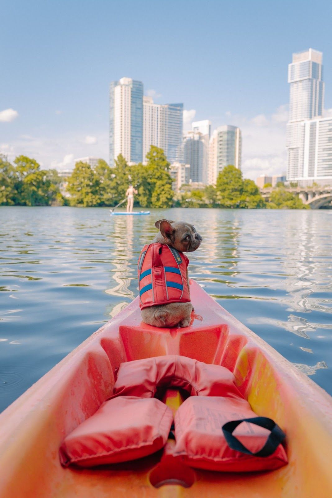 Guide to Canoeing & Kayaking with Your Dog