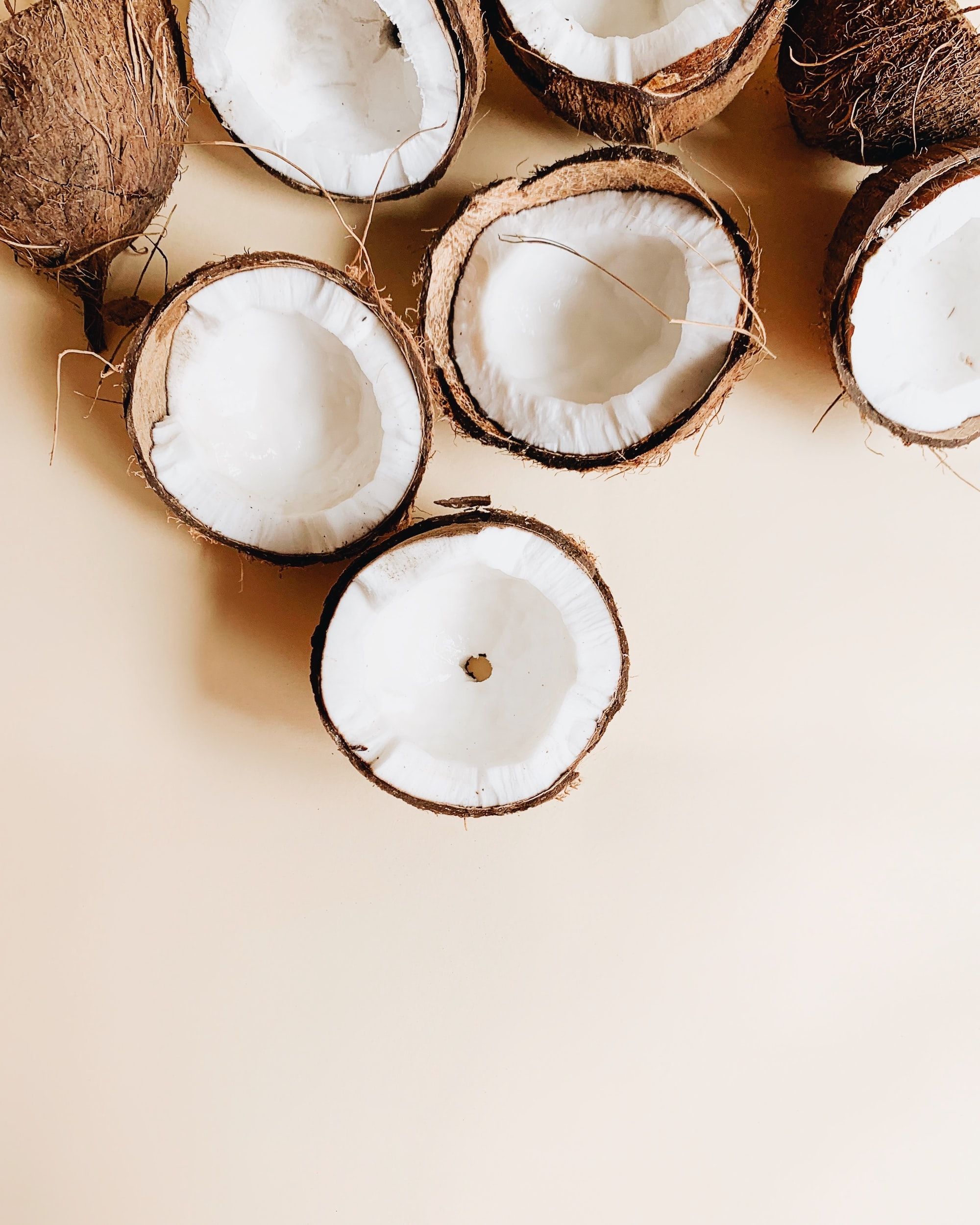 The Benefits Of Coconut Oil For Dogs