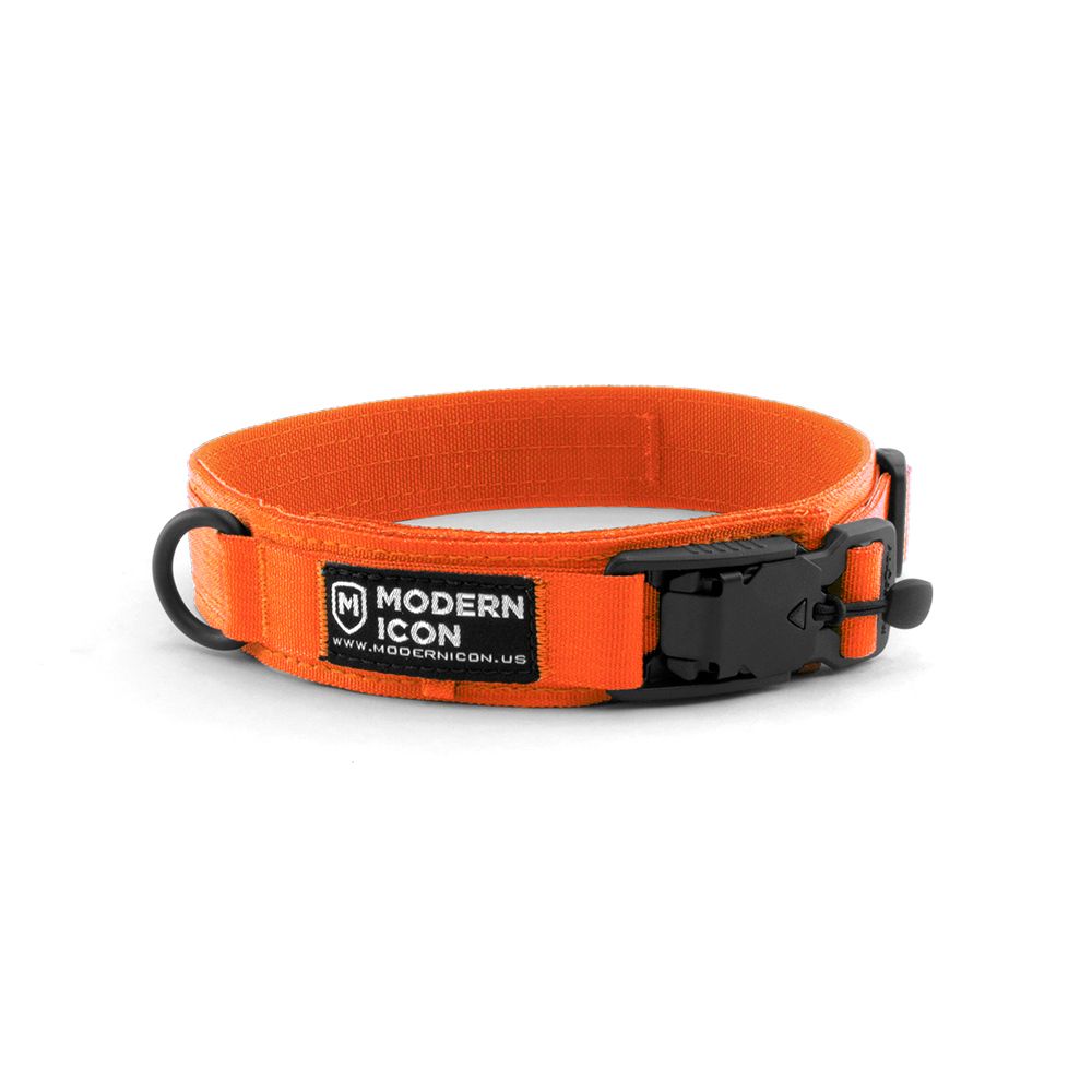 modern icon orange dog collar
