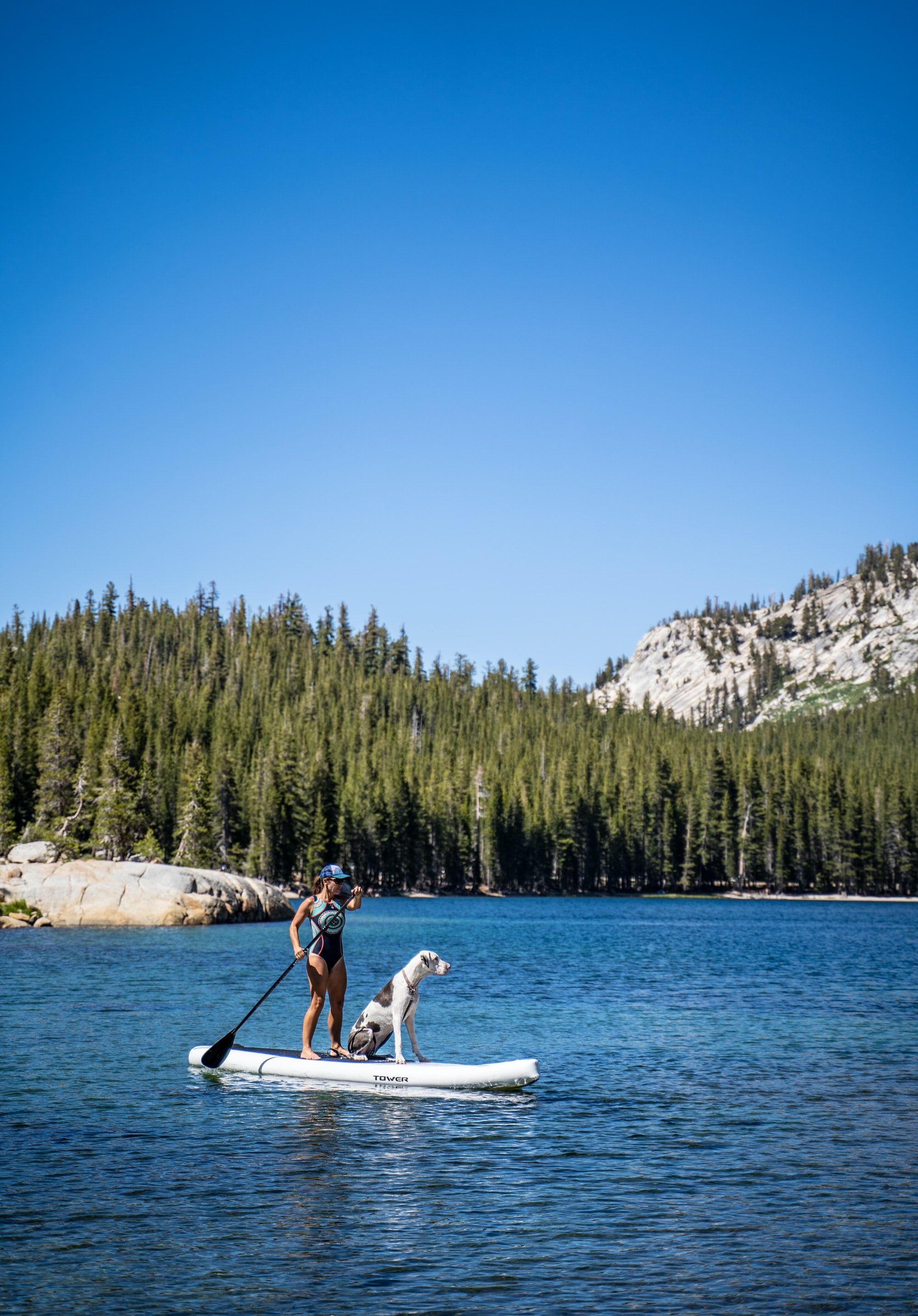 Helpful Tips on Paddle Boarding with Your Dog