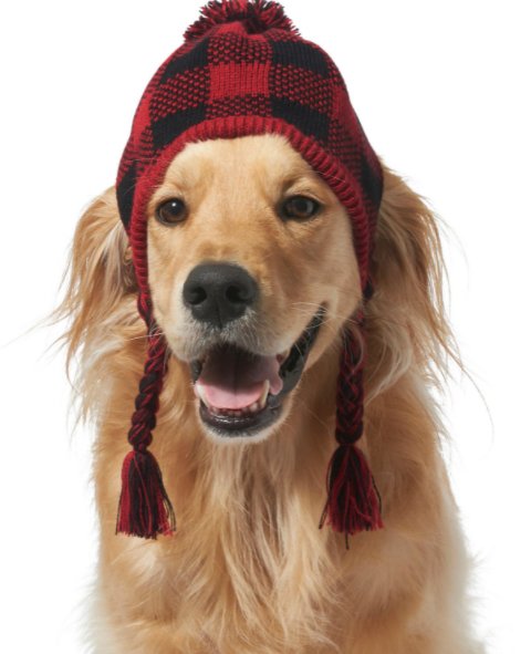 plaid winter hat for dogs
