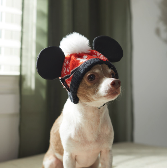 christmas mickey hat for dogs