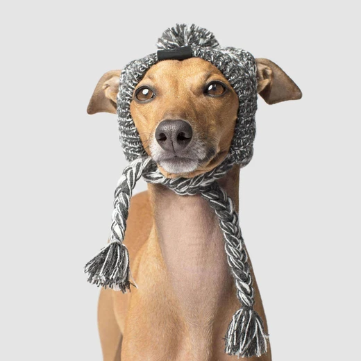 knitted winter hat for dogs