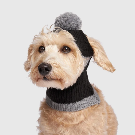 winter hat for dogs