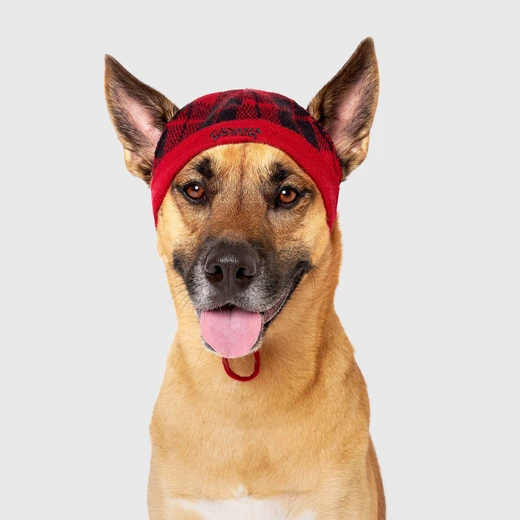 plaid winter dog hat