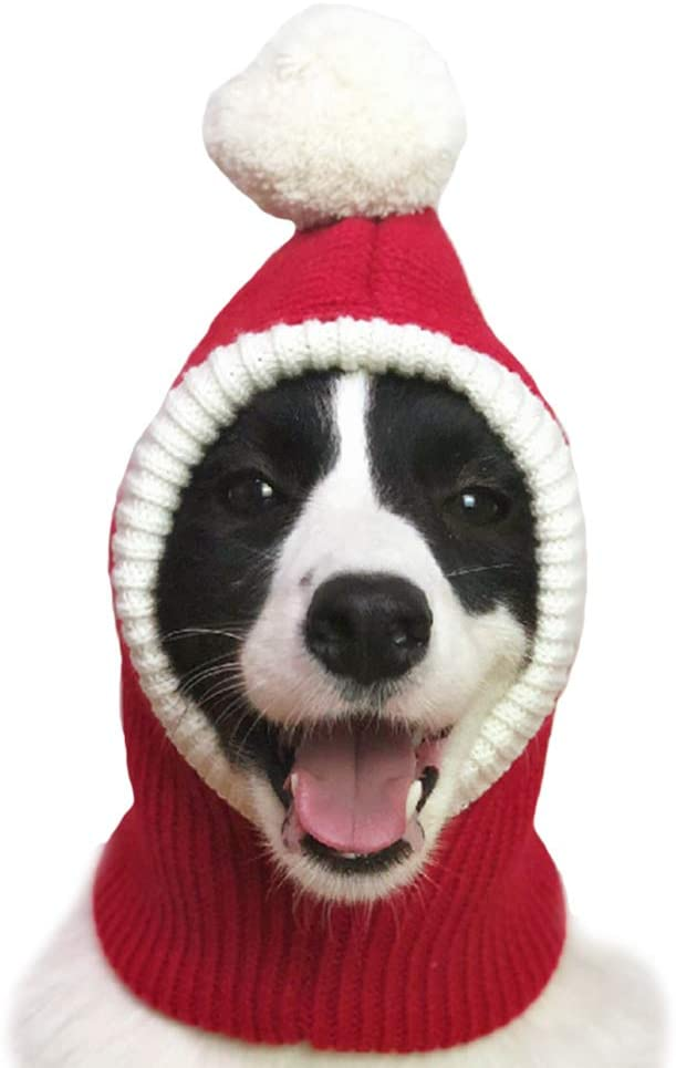 dog winter hat