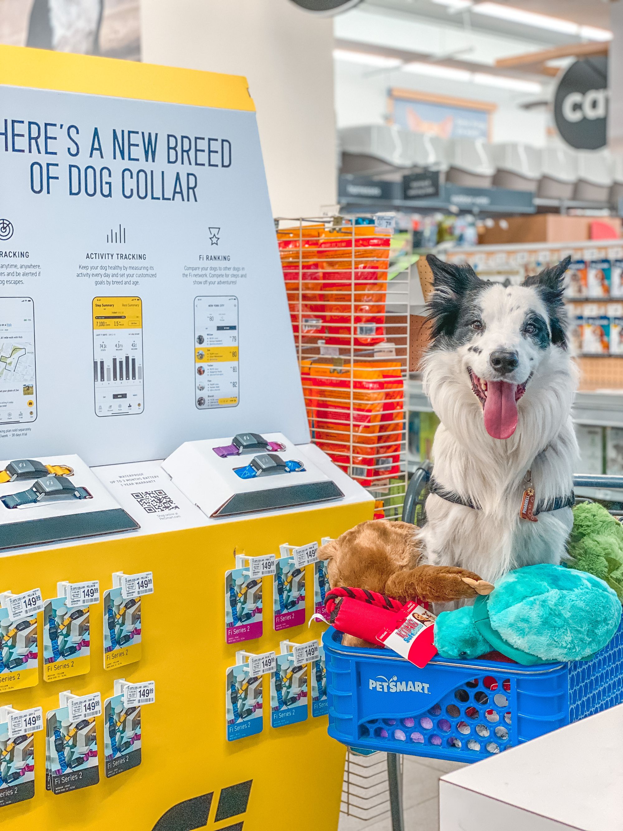 Press Release: Fi Expands Into Physical Retail With PetSmart