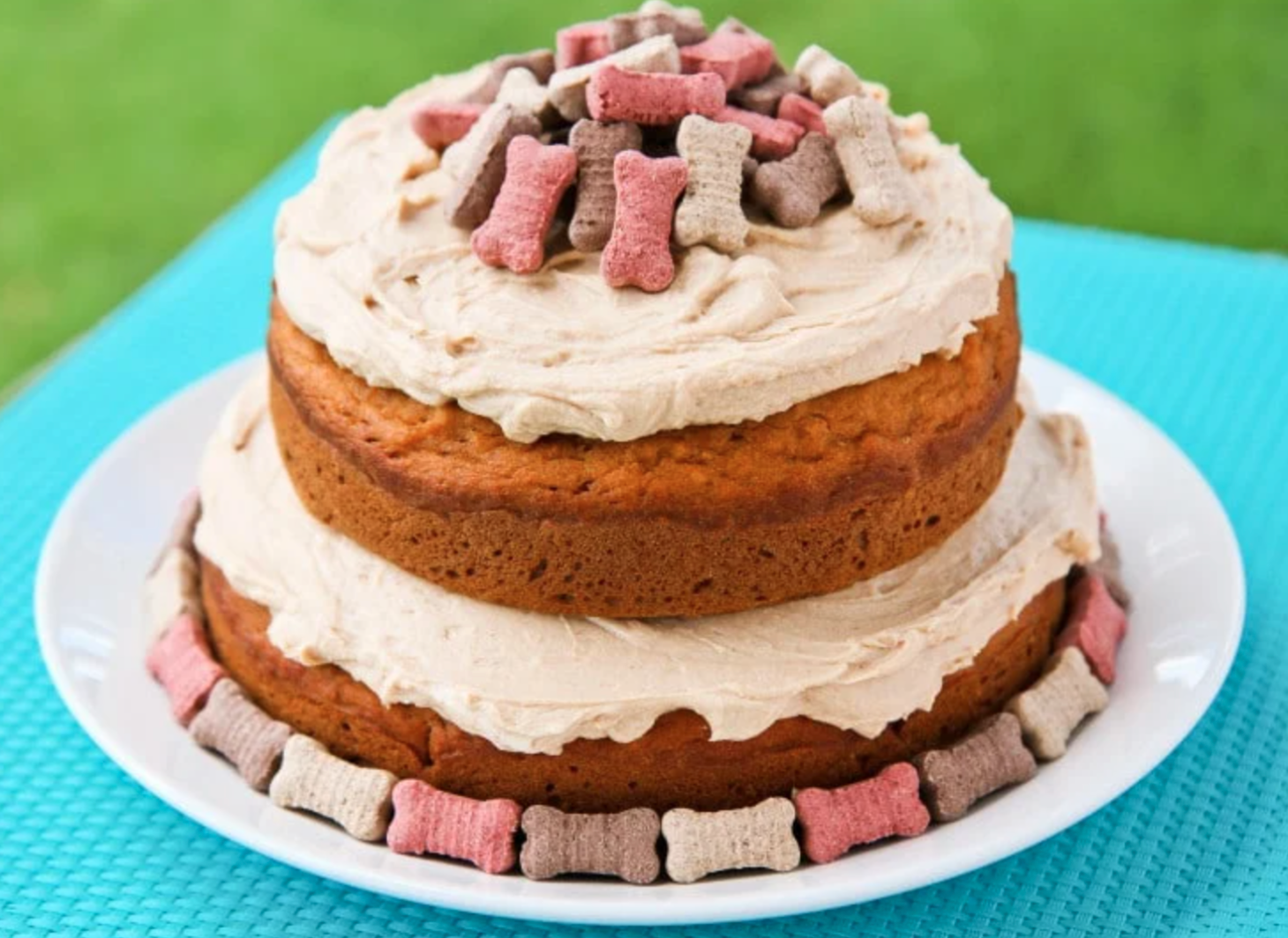 Celebrate #50 With Us: Bake Your Pup a Delicious Cake!