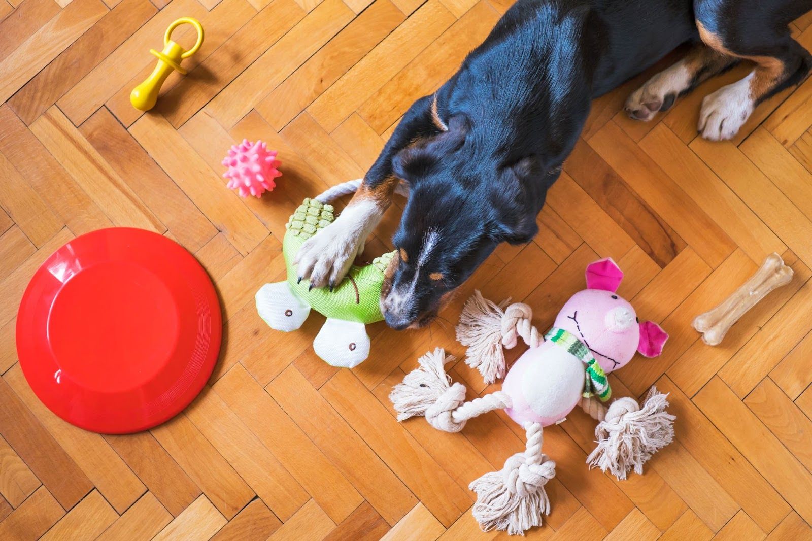 Can I use Bona floor cleaner on pet beds and toys?