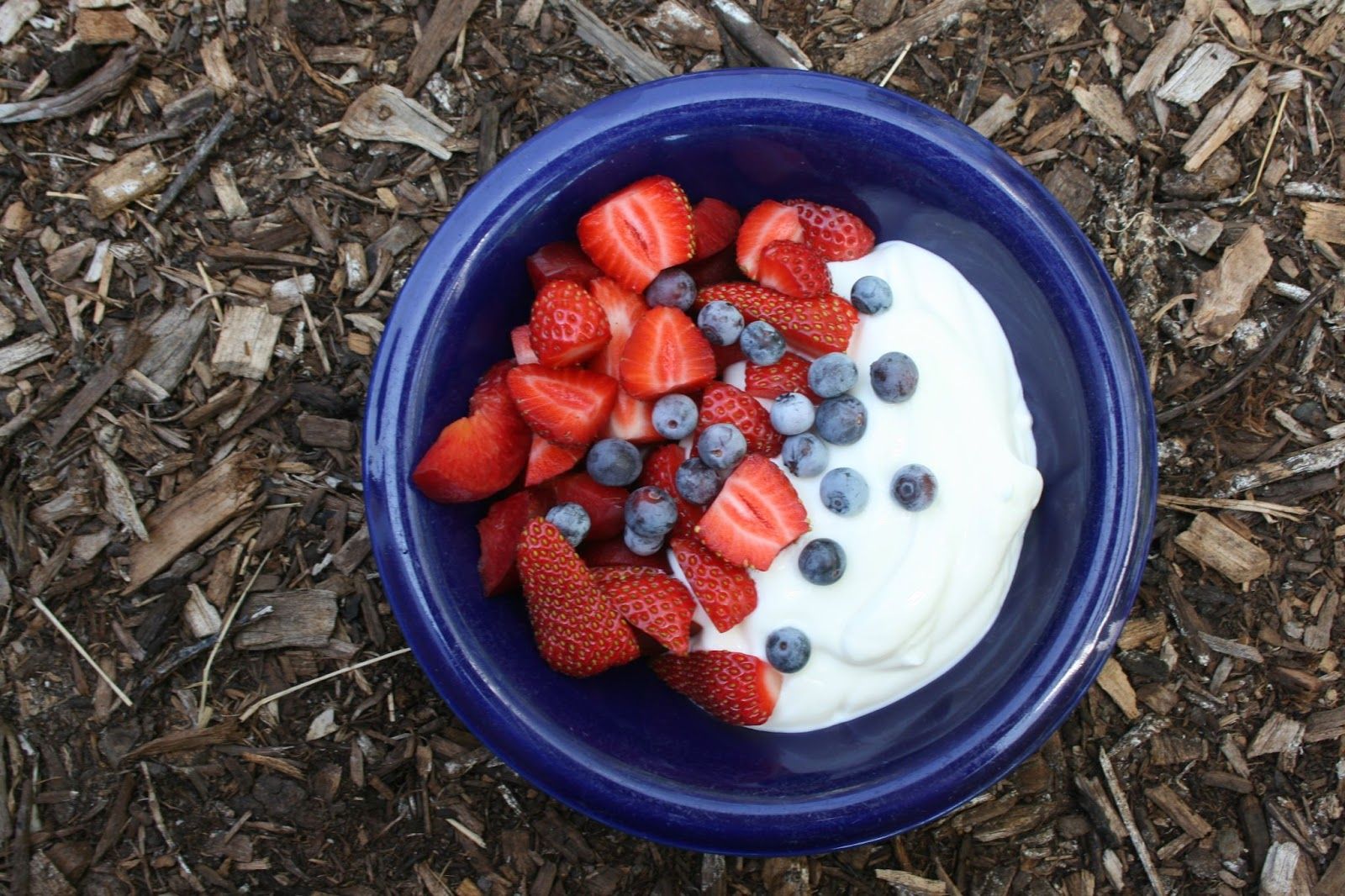 bowl of yogurt