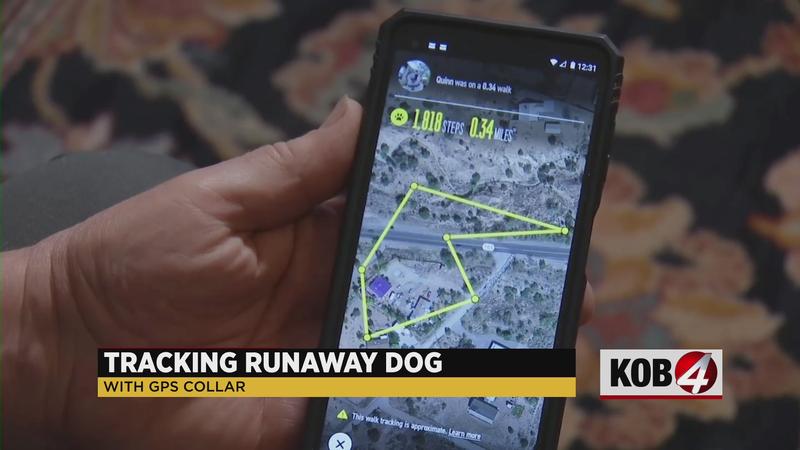 Tracking Runaway Dog with GPS Collar