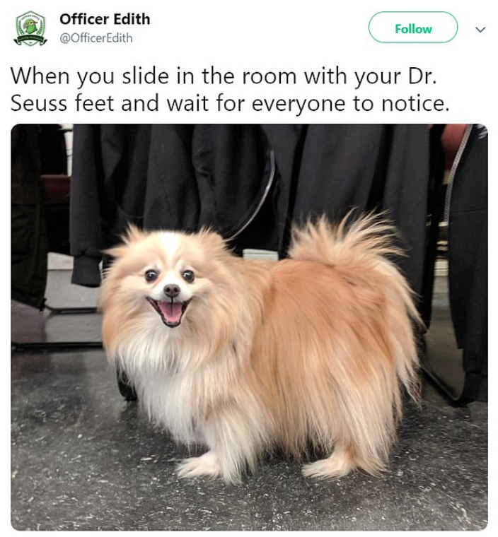 rescue dog tweet having dr seuss grinch feet