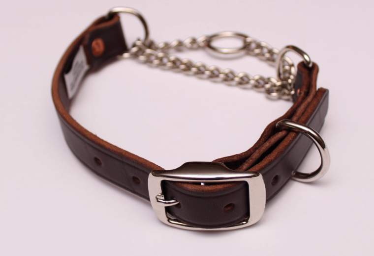 A leather and chain martingale collar