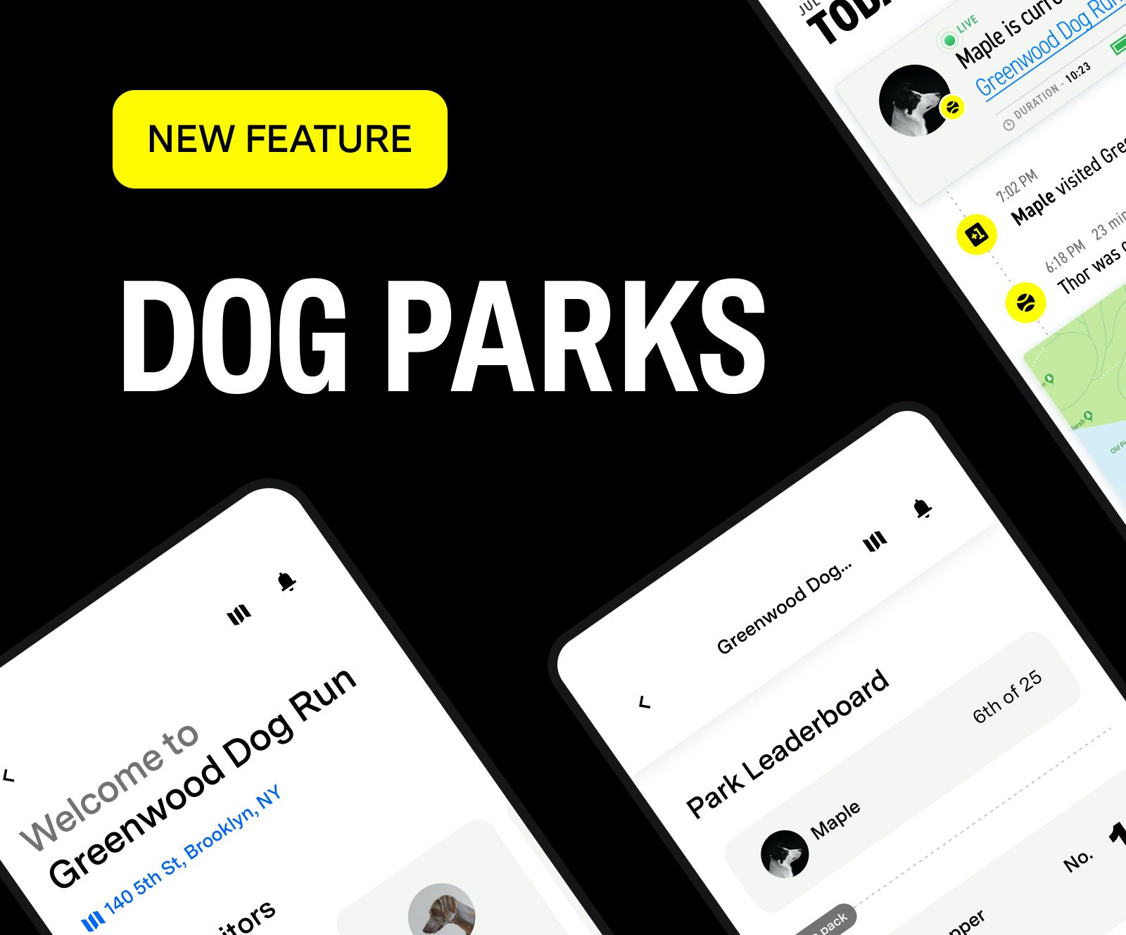 Everything You Need to Know About Fi Dog Parks