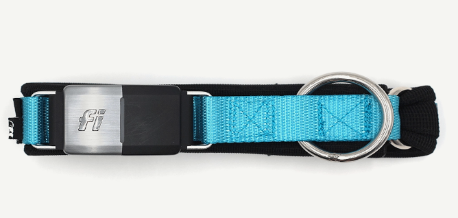 Elite Dog Collar for Fi Series 2 (Available in Series 3 as well)