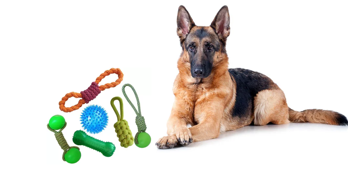 Top 5 Toys for Bored German Shepherds – GSD Colony