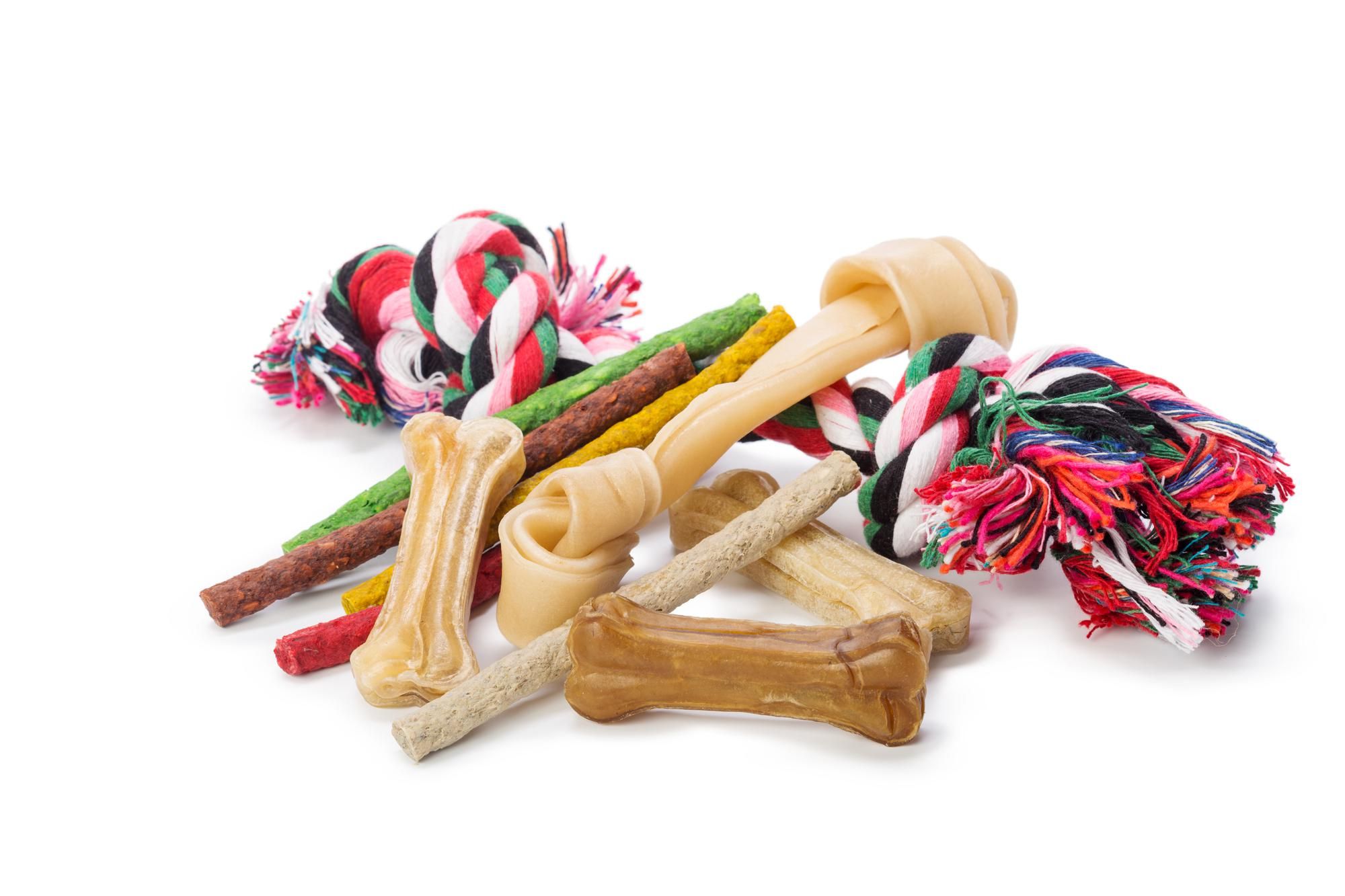 What is a Bully Stick? Learn All About The Popular Dog Treat