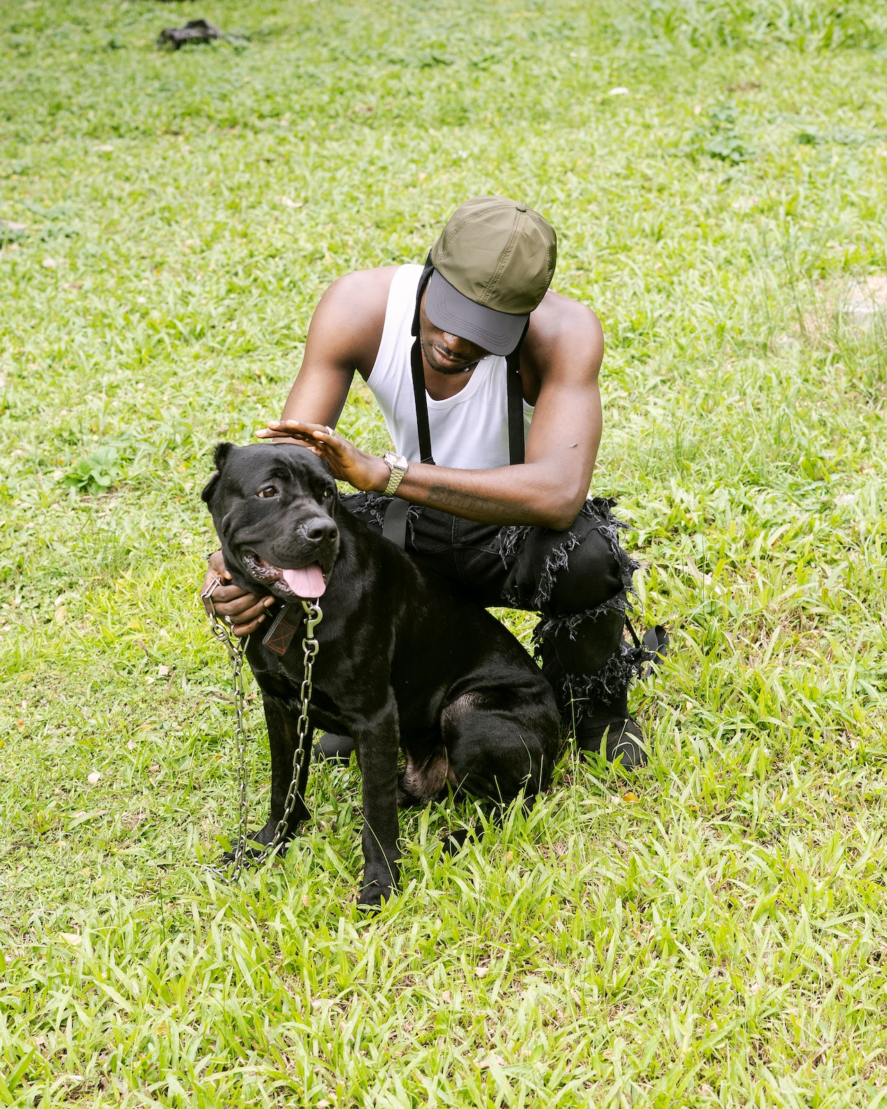 cane corso and owner