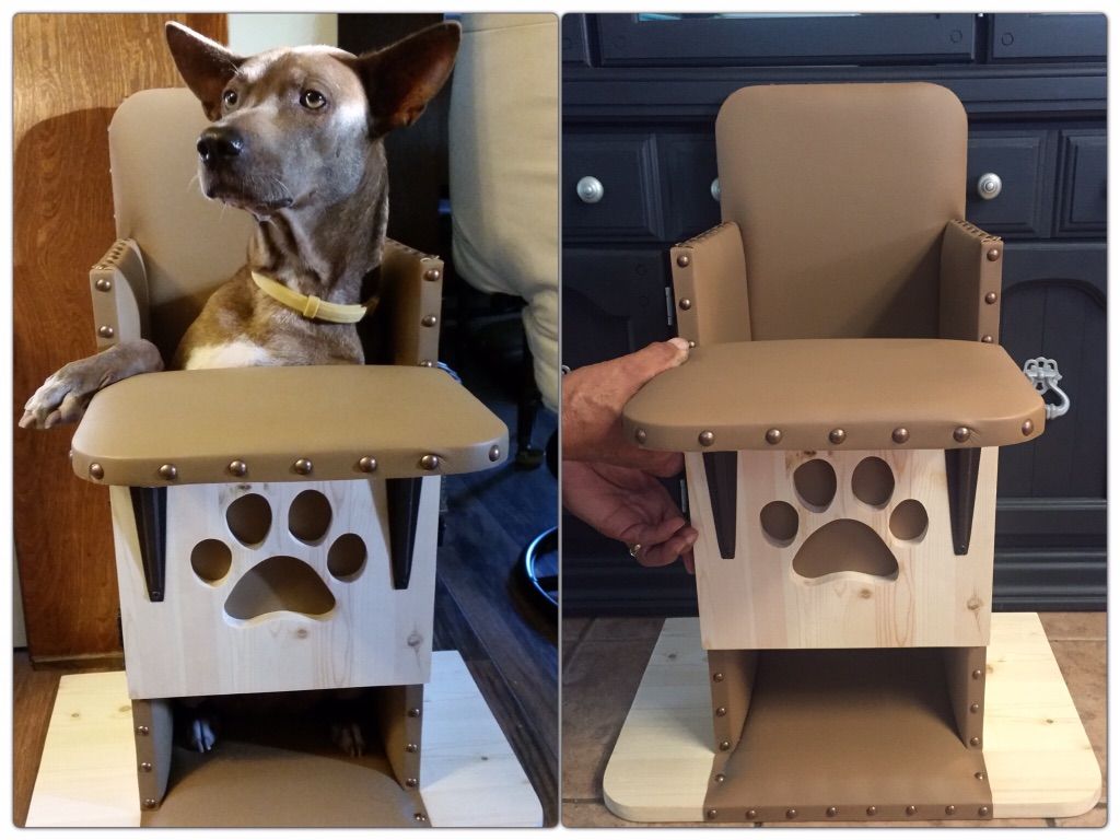Dog Bailey Chair 