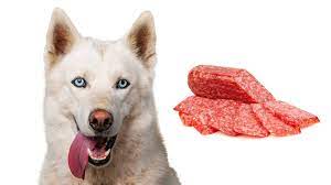 Dogs Eat Salami