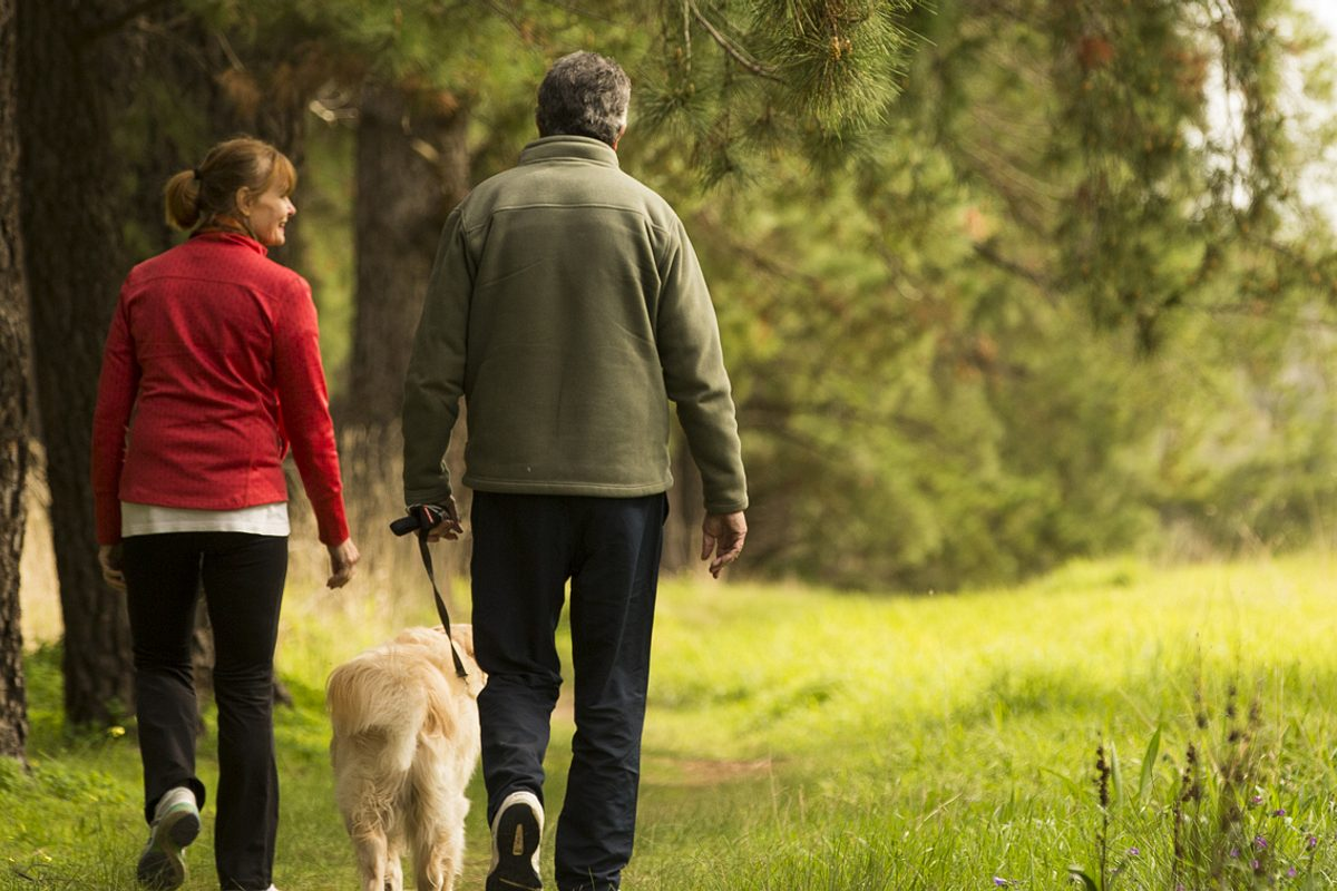 Are Dogs Allowed in National Parks? We Break It All Down!