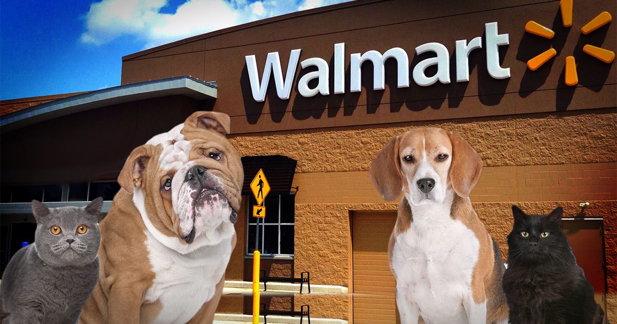 Walmart Pet Policy