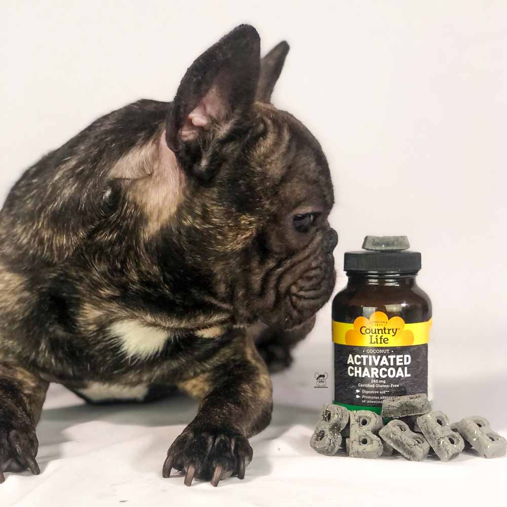 Dogs Activated Charcoal