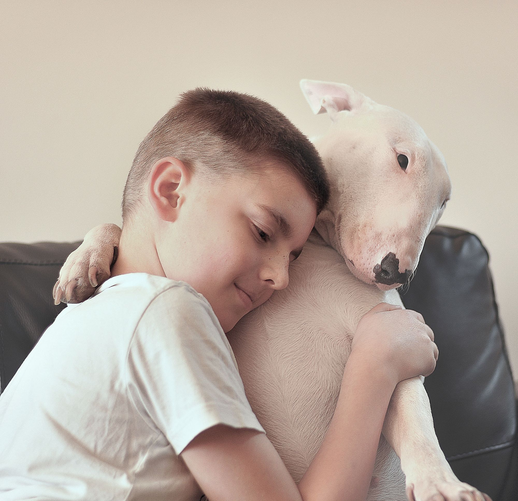 A kid embracing the bull-terrier