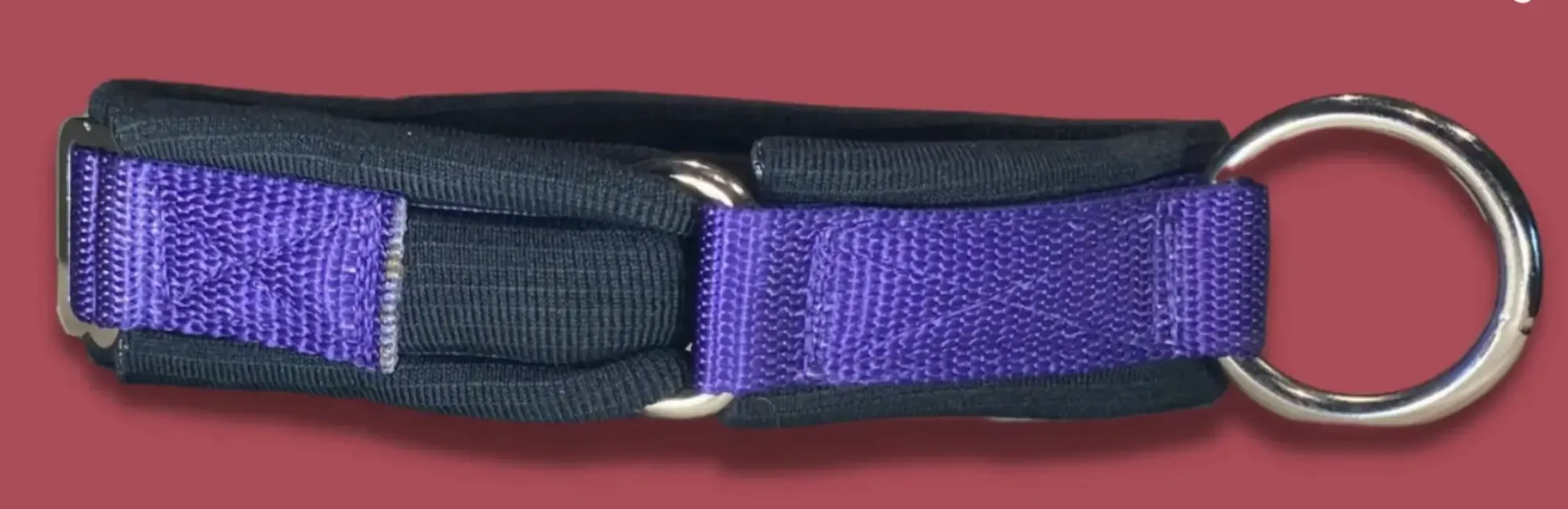 Purple Dog Collars