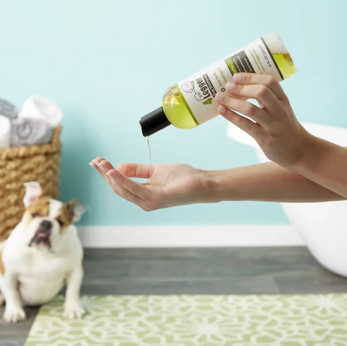 Use Non-Toxic Pet Shampoos & Cleaning Supplies