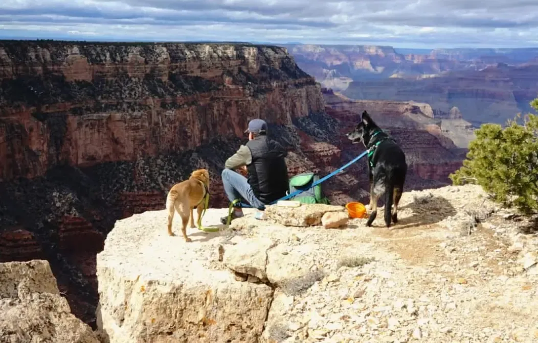 The 15 Most Dog-Friendly National Parks To Visit This Summer
