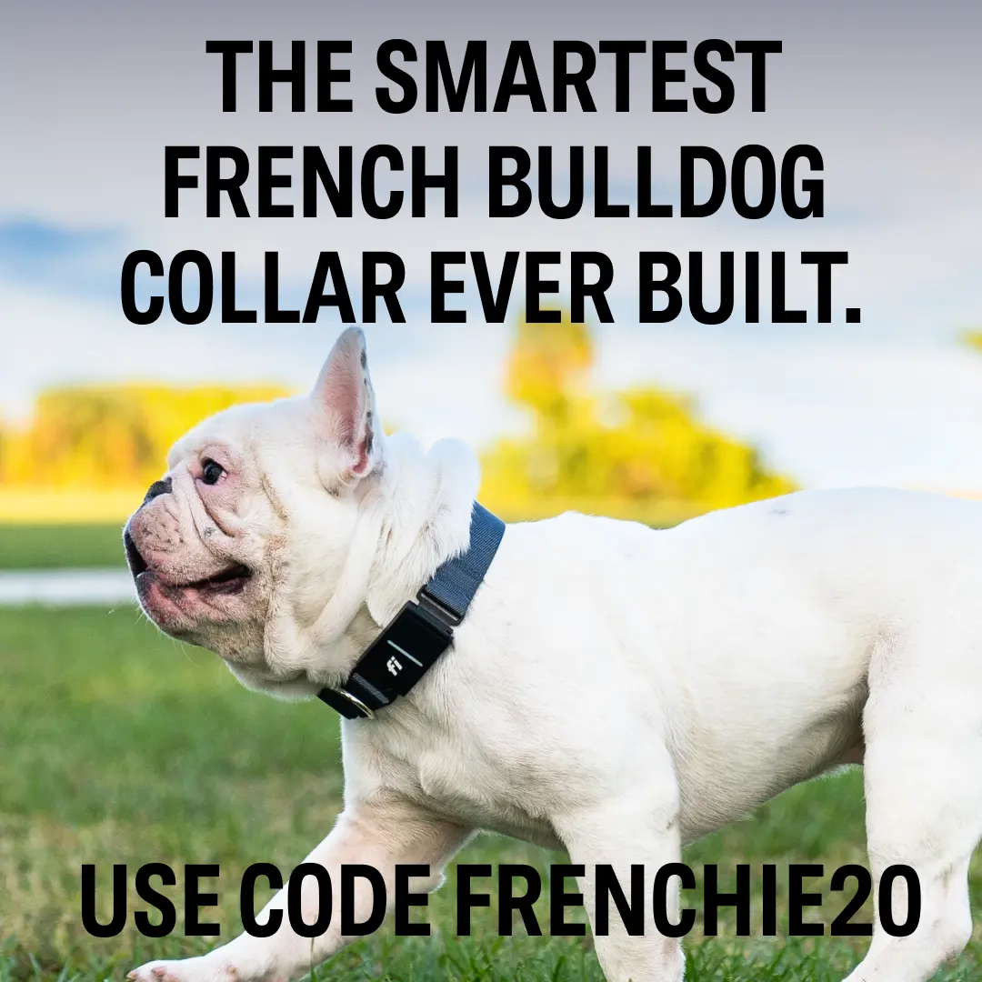 USE Code FRENCHIE20 For BullDog Smart Collor