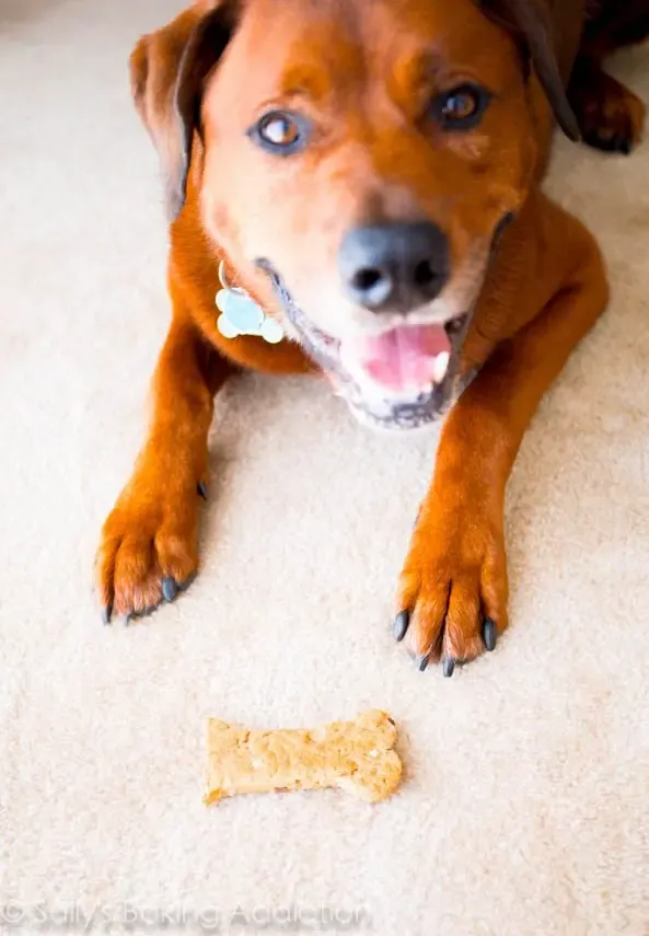 Peanut Butter Bacon Dog Treats
