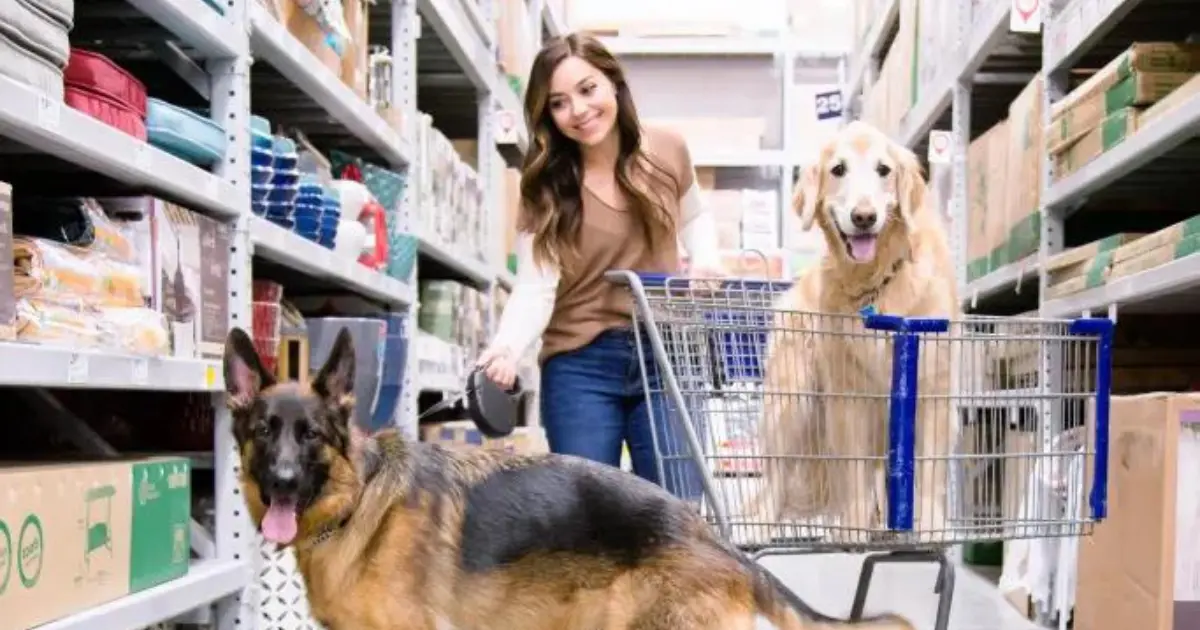 Alternatives to Bringing Your Dog to Home Depot