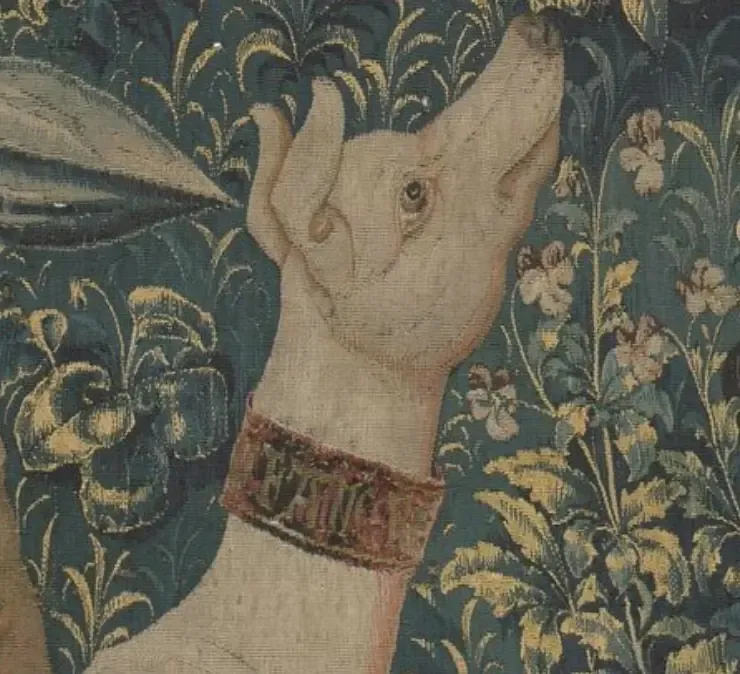 Dog Collars in the Renaissance