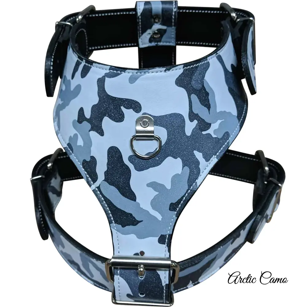 Pit Bull Gear Leather Harness