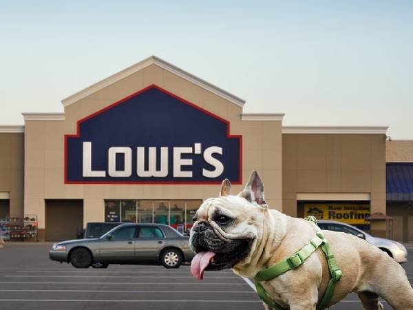 Lowes store pet friendly