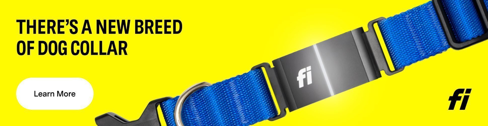Fi collar for dogs